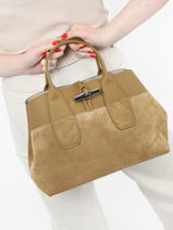 Longchamp Roseau soft Sac port main Marron-vue-porte