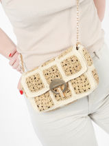 Petit Sac Moon En Raphia Et Crochet Vanessa bruno Beige moon raphia 81V40533-vue-porte