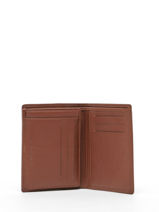 Portefeuille Cuir Yves renard Marron smooth 15418-vue-porte