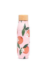 Drinkfles 750ml Cabaia Roze bottle M