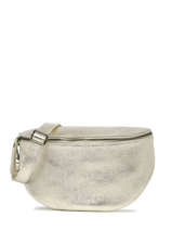 Heuptasje Nine Leder Milano Goud nine NI21123