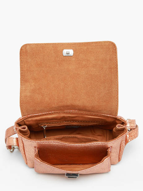 Sac Bandoulière Diane  Xs Paul marius Rose vintage DIANEXS vue secondaire 3