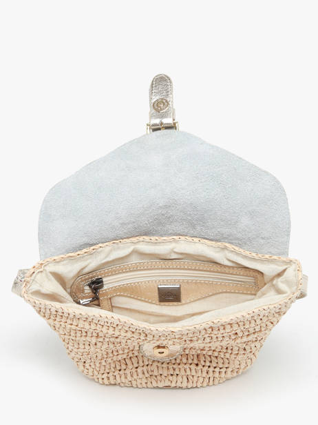 Cross Body Tas Nevada Etrier Goud nevada ENEV072S ander zicht 3