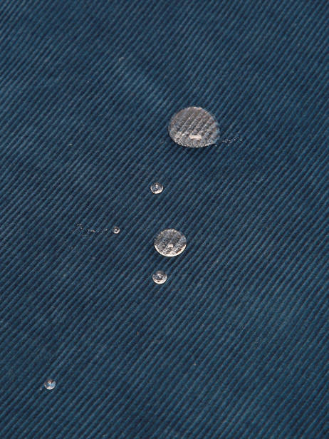 Rugzak 2 Compartimenten Basilic pepper Blauw delhi BDEH02 ander zicht 5