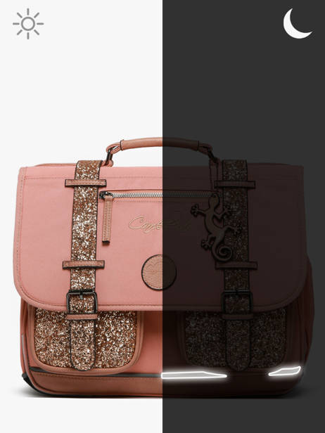 Boekentas Kinderen 2 Compartimenten Cameleon Roze vintage fantasy CA35 ander zicht 7