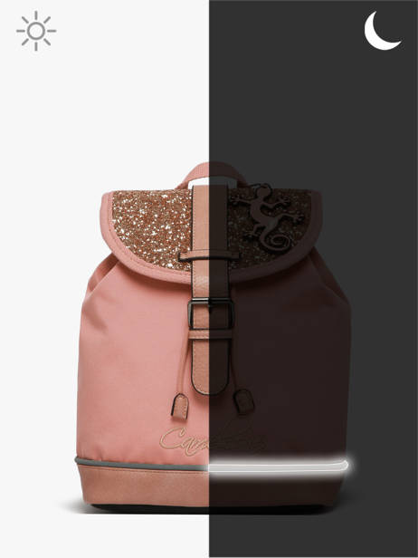 Rugzak 1 Compartiment Cameleon Roze vintage fantasy SD25 ander zicht 6