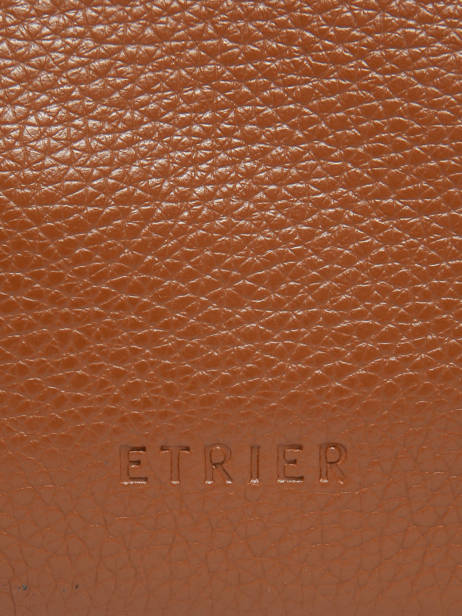 Sac à Dos Business Flandres 1 Compartiment Cuir Etrier Marron flandres EFLA8271 vue secondaire 5