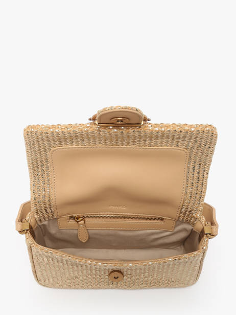 Cross Body Tas Love Bag Icon Raphia Pinko Goud love bag icon 4340A2CE ander zicht 2