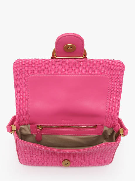 Sac Bandoulière Love Bag Icon Pinko Rose love bag icon 4340A2CF vue secondaire 2