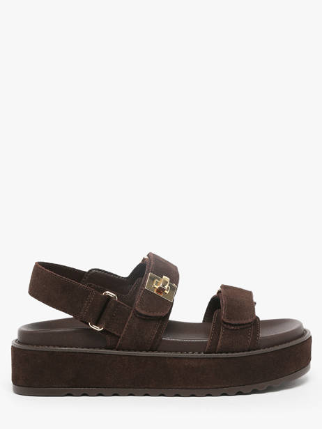Sandales Bigmona En Cuir Steve madden Marron accessoires 11003034