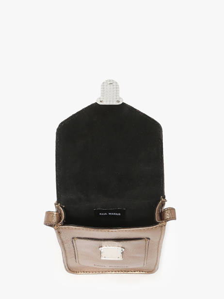 Telefoontas Leder Paul marius Goud vintage TELEPHON ander zicht 3