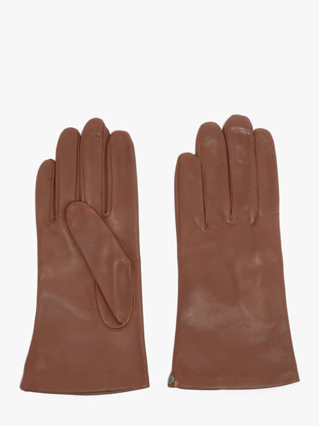Gants Isotoner Marron women gloves 68285