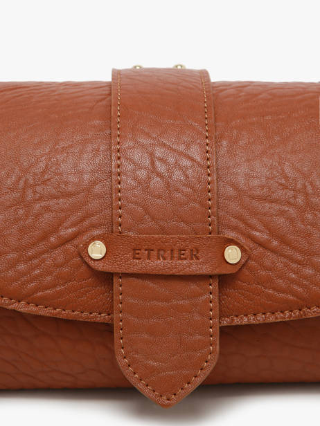 Sac Bandoulière M Agnes Cuir Etrier Marron agnes EAGC205M vue secondaire 3