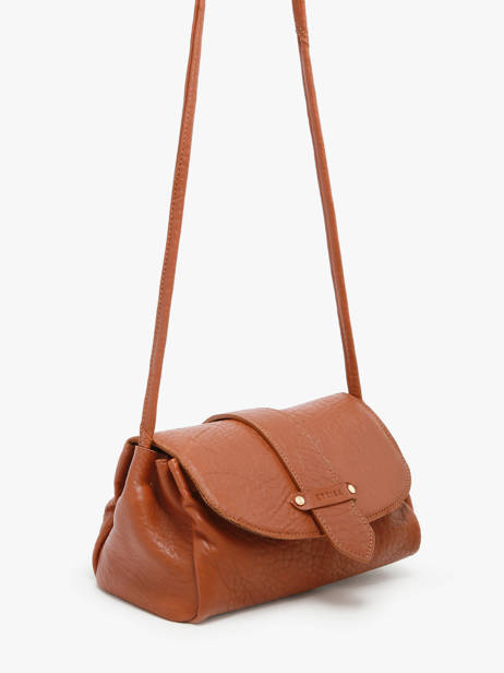Sac Bandoulière M Agnes Cuir Etrier Marron agnes EAGC205M vue secondaire 5