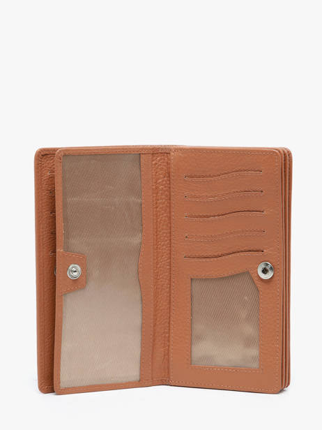 Portefeuille Caviar Leder Crinkles Bruin caviar 14001 ander zicht 1