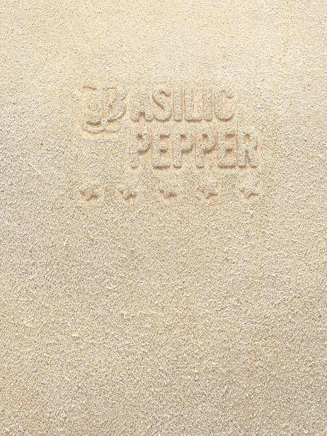 Schoudertas Houston Leder Basilic pepper Beige houston BHOU80 ander zicht 4