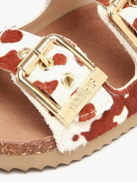 Sandales En Cuir Colors of california Marron women HCBIO502 vue secondaire 2