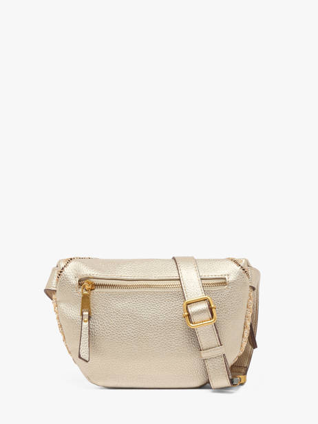 Heuptasje Rosalie Laurent david Goud ld bags 8 ander zicht 3