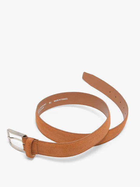 Riem Redskins Bruin belt TEDDY ander zicht 2