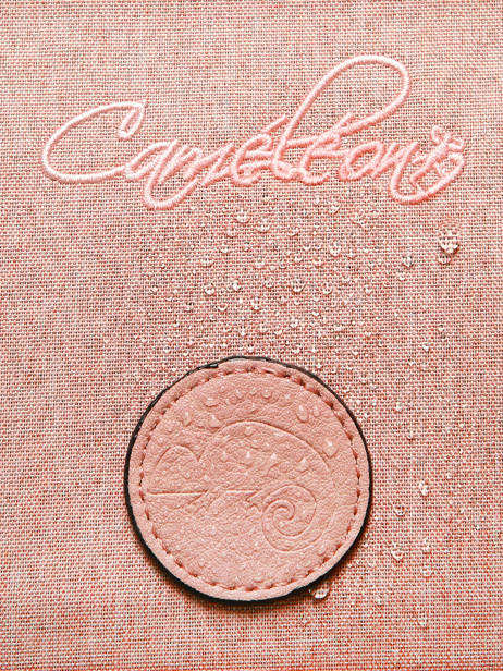 Boekentas Op Wieltjes 2 Compartimenten Cameleon Roze vintage color CR38 ander zicht 9