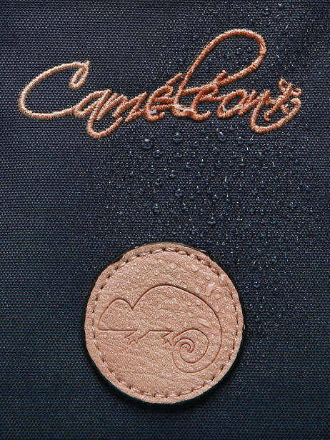 Boekentas Op Wieltjes Kinderen 2 Compartimenten Vintage Fantasy Cameleon Blauw vintage fantasy CR38 ander zicht 7