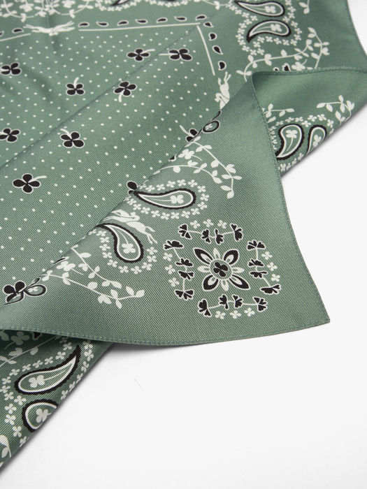 Longchamp Soie gots Sjaal Groen