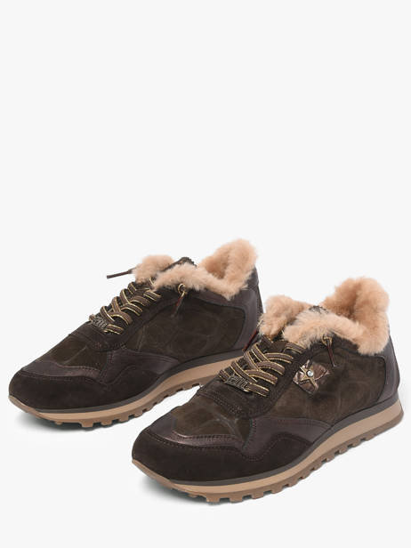 Sneakers Cetti Bruin women SRA ander zicht 1