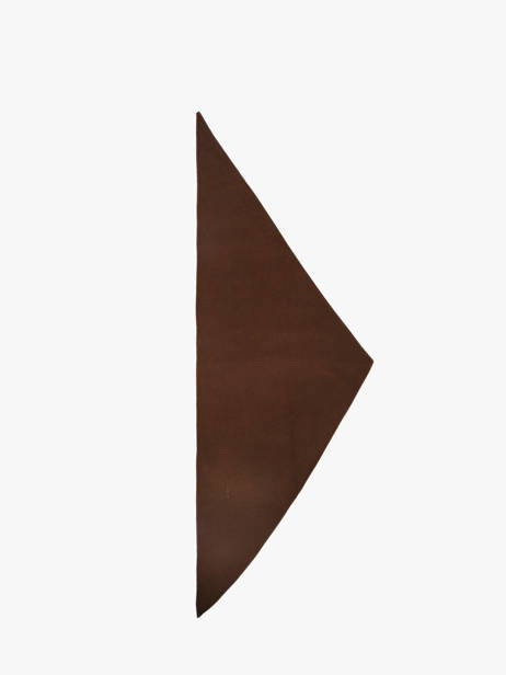 Écharpe Pieces Marron cary 17166816