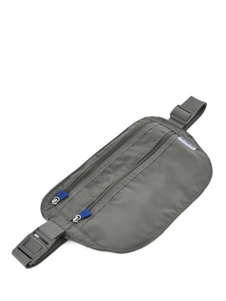 Pochette De Voyage Samsonite Gris global ta C01074