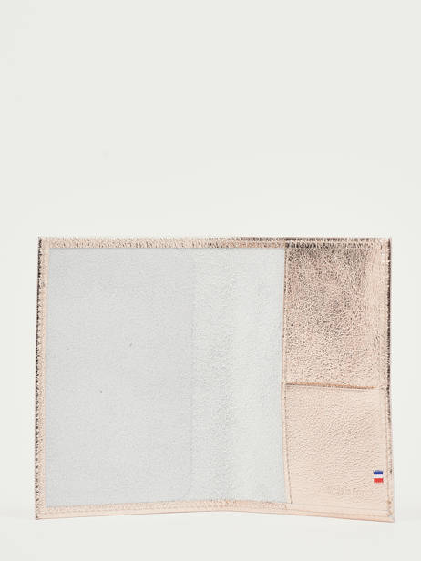 Paspoorthoes Etincelle Irisée Leder Etrier Goud etincelle irisee EETI025 ander zicht 1