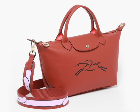 sac Longchamp